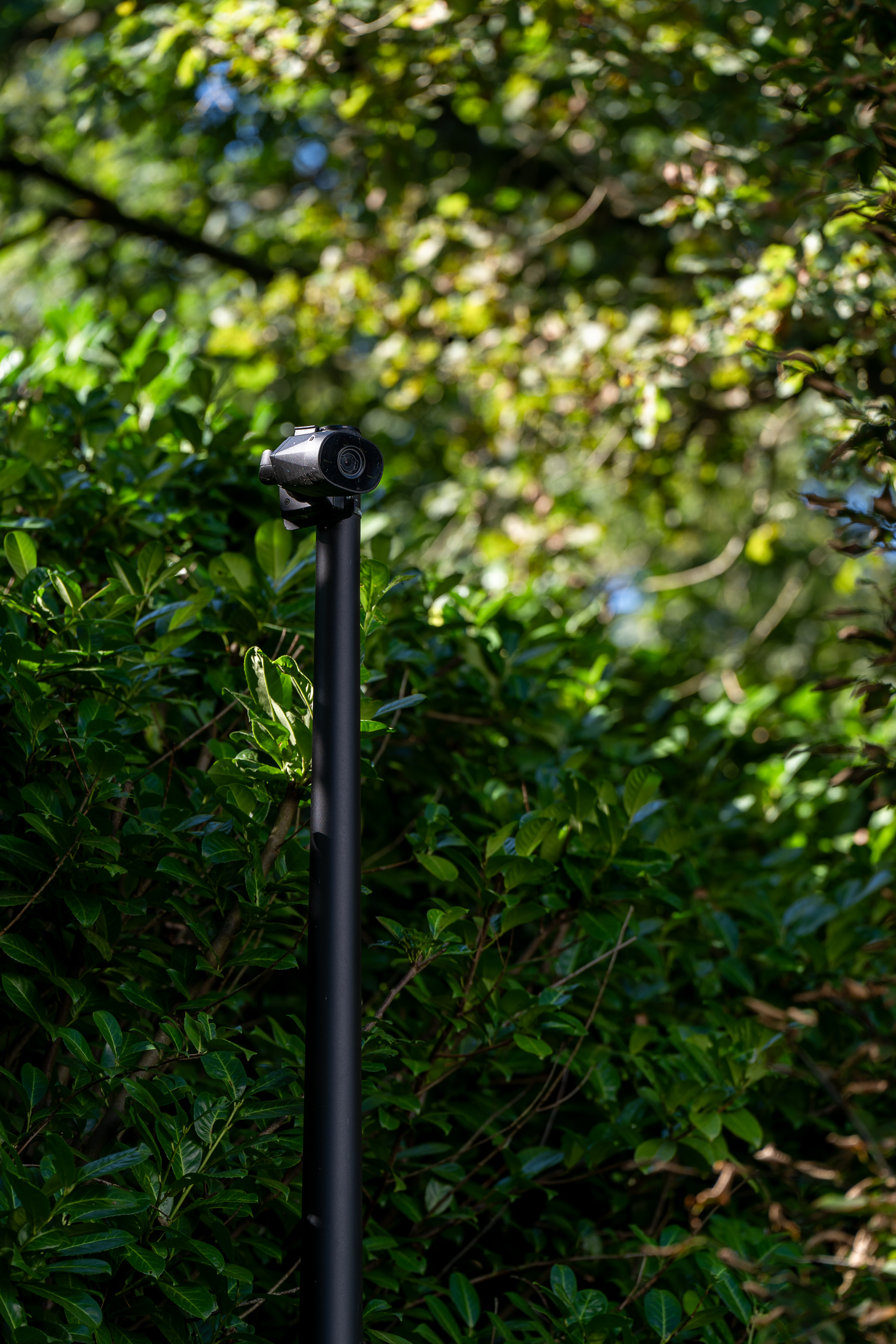 An analytical camera on a tripod keeps an eye on the garden.